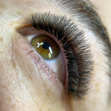 10D Pro Mades Tray - LashBase Inc