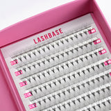 10D Pro Mades Tray - LashBase Inc