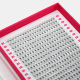 10D Mega Volume Fans – XXL Tray - LashBase Inc