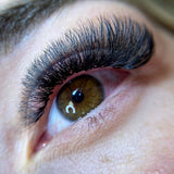 12D Pro Mades Tray - LashBase Inc