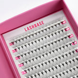 12D Pro Mades Tray - LashBase Inc