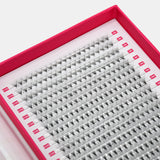12D Mega Volume Fans  – XXL Tray - LashBase Inc