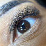 3D Pro Mades Tray - LashBase Inc