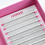 3D Pro Mades Tray - LashBase Inc