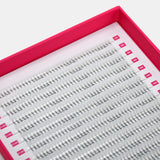 3D Volume Fans – XXL Tray - LashBase Inc