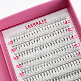4D Pro Mades Tray - LashBase Inc