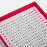 4D Volume Fans – XXL Tray - LashBase Inc