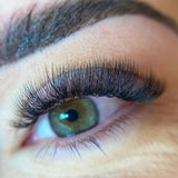 4D Ultra Narrow Fans - LashBase Inc