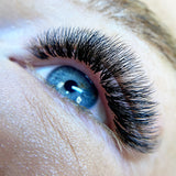 5D Pro Mades Tray - LashBase Inc