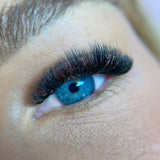 5D Ultra Narrow Fans - LashBase Inc