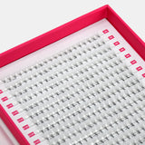 5D Volume Fans – XXL Tray - LashBase Inc