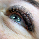 6D Pro Mades Tray - LashBase Inc