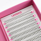 6D Pro Mades Tray - LashBase Inc