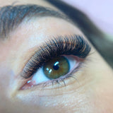 6D Ultra Narrow Fans - LashBase Inc