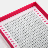 6D Volume Fans – XXL Tray - LashBase Inc