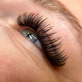 7D Wispy Lashes - LashBase Inc