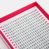 7D Mega Volume Fans – XXL Tray - LashBase Inc