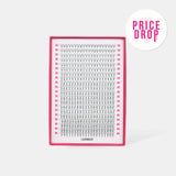 8D Mega Volume Fans – XXL Tray - LashBase Inc