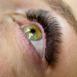 8D Pro Mades Tray - LashBase Inc