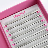 8D Pro Mades Tray - LashBase Inc