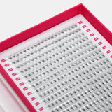 8D Mega Volume Fans – XXL Tray - LashBase Inc