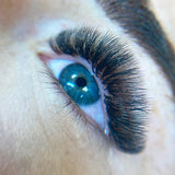 8D Ultra Narrow Fans - LashBase Inc