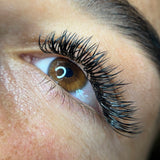 Angel Pro Mades - LashBase Inc