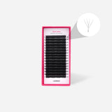 Clover Lashes - LashBase Inc