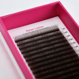 Clover Lashes - Brown - LashBase Inc