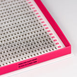 6D Double Layer Volume Fans - Black / Brown - LashBase Inc