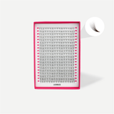 6D Double Layer Volume Fans - Black / Brown - LashBase Inc