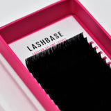 Easy Fan Lashes - LashBase Inc