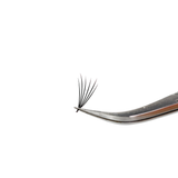 6D Flat Pro Made Fans - Camellia - LashBase Inc