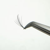 7D Wispy Lashes - LashBase Inc