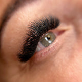 6D Flat Pro Made Fans - Camellia - LashBase Inc