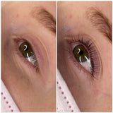 Lifted. Pro Treatment Bundle - LashBase Inc