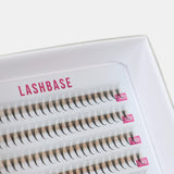 5D Ultra Narrow Fans - LashBase Inc