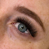 NEW 6D Double Layer Volume Fans - LashBase Inc