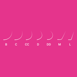 LBX Collection Classic Lashes 0.20mm - LashBase Inc