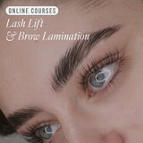 Online Lifted. Lash Lift & Brow Lamination Course - Kit Included - LashBase Inc