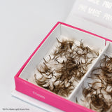 6D Light Brown Pro Mades - 750 Fans - LashBase Inc