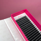 WW Lashes - LashBase Inc