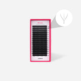 WW Lashes - LashBase Inc