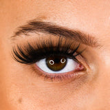 LB09 Volume Strip Lashes - LashBase Inc
