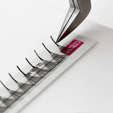 6D Third Generation Volume Fans - LashBase Inc