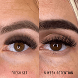12D Third Generation Volume Fans - 5 Week Retention