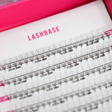 5D Third Generation Volume Fans - LashBase Inc