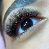 5D Third Generation Volume Fans - LashBase Inc