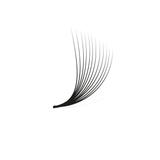 12D Pro Mades - 500/750 Fans - LashBase Inc