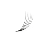 6D Pro Mades - 750/1000 Fans - LashBase Inc